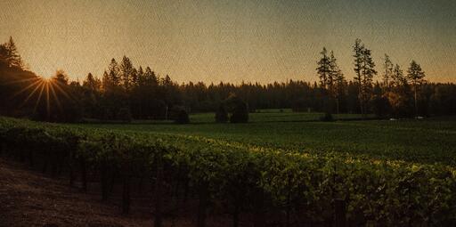 Fourth Leaf Wines Image