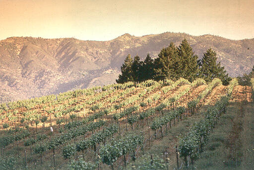 Schramsberg Vineyards Image