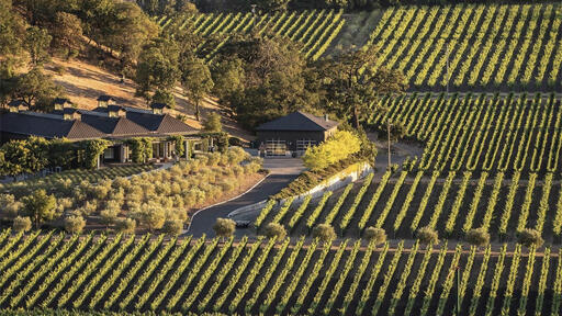 Cliff Lede Vineyards Image