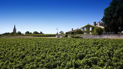 Château la Serre Image