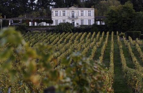 Les Vignobles Olivier Fleury Image