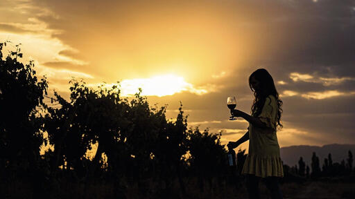 Bodegas Baudron Image