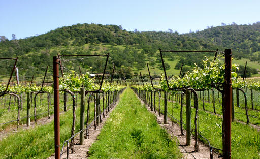 Becklyn Cellars Image