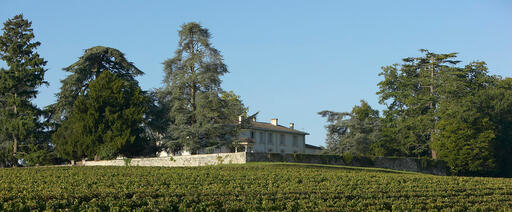 Château Pey La Tour Image