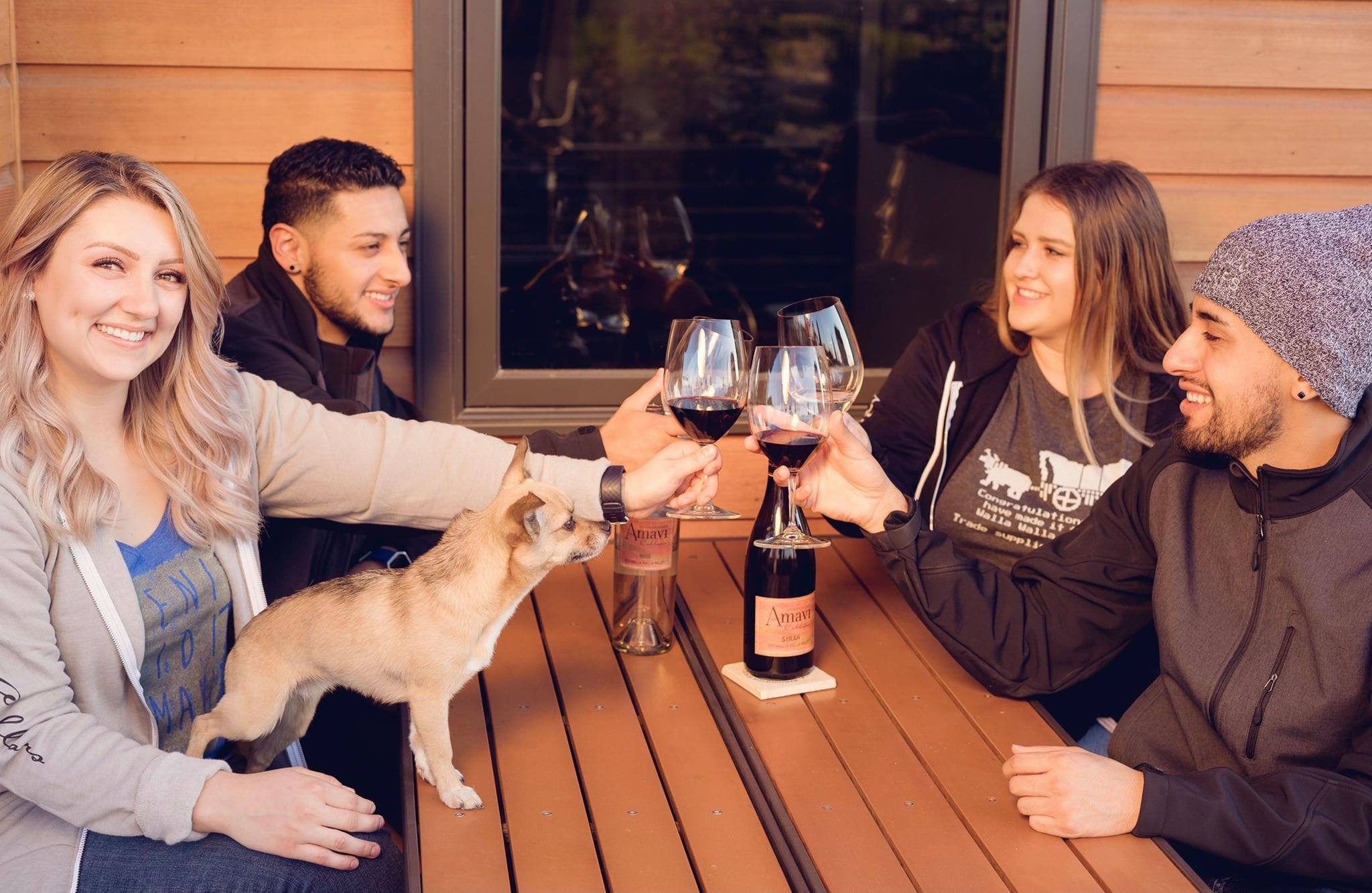 Amavi Cellars Cover Image