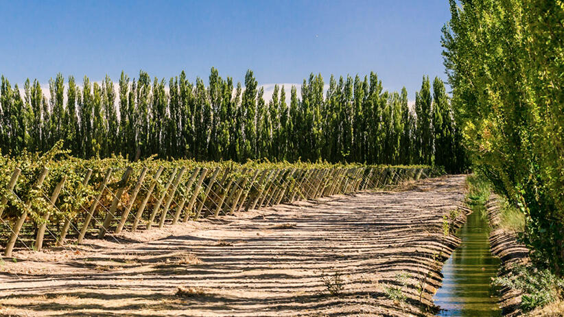 Bodega Del Río Elorza Cover Image