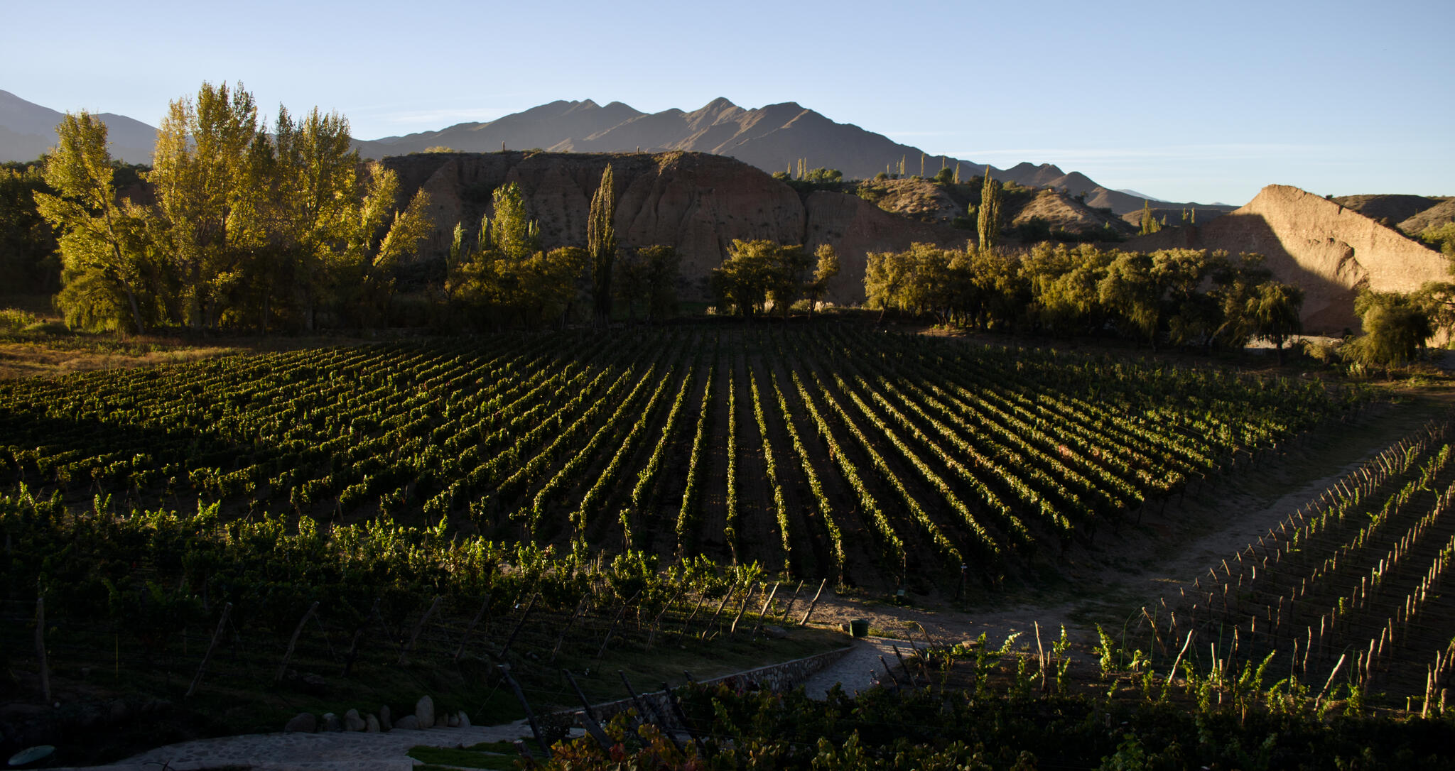 Bodega Isasmendi Cover Image