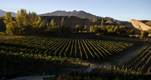 Bodega Isasmendi Image