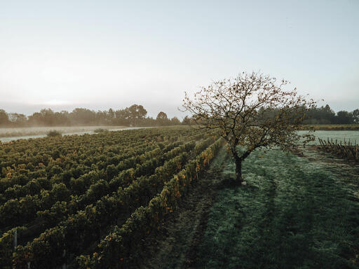 Domaine du Carrelet Image