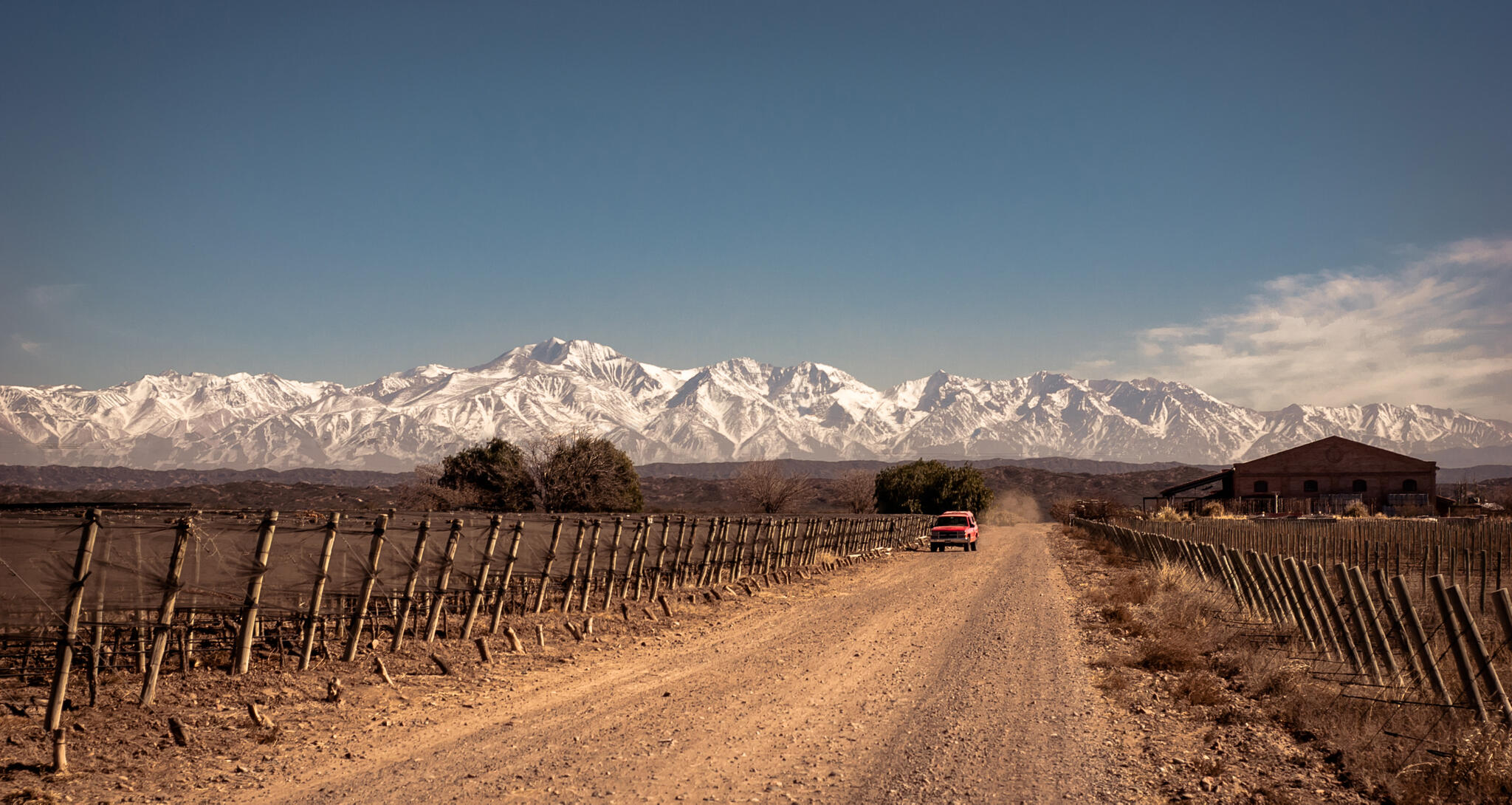 Altos Las Hormigas Cover Image