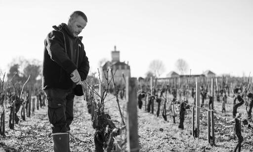 Vignobles de Larose Image