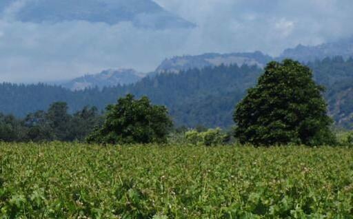 Emerson Brown Wines Image
