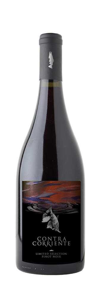 Contra Corriente Bodega Pinot Noir Bottle Preview