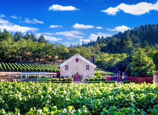 Morlet Family Vineyards Image