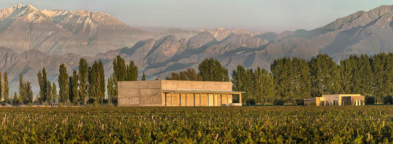 Barbarians Wines of Argentina Cover Image