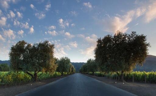 Opus One Image