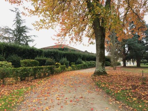 Château Saransot Dupré Image