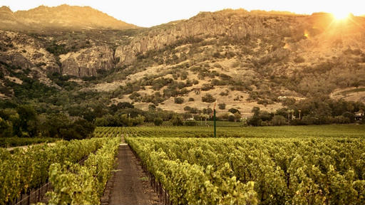 Stags' Leap Winery Image