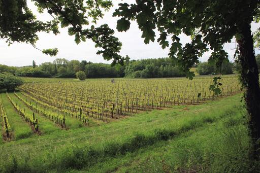 Château Clarisse Image