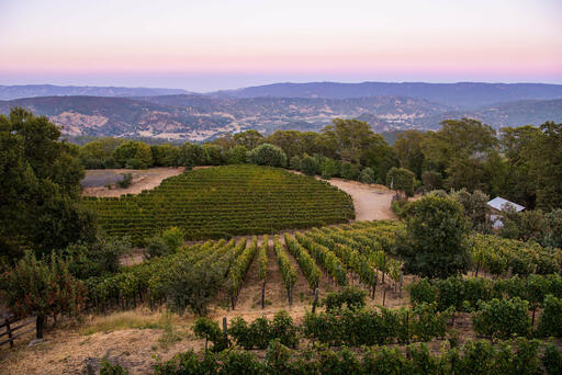Amuse Bouche Winery Image