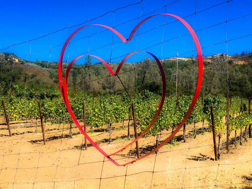 Broman Cellars Image