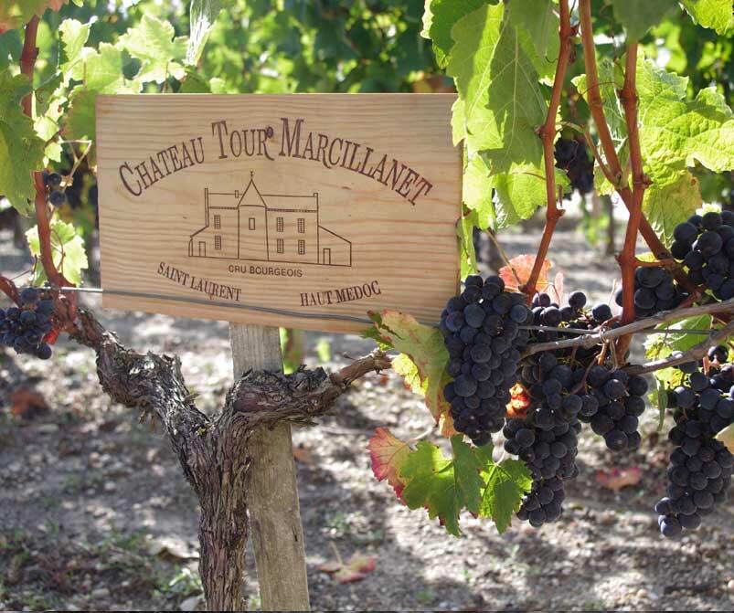 Château Tour Marcillanet Cover Image