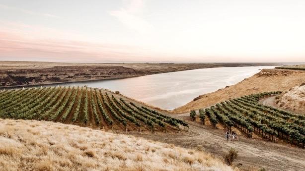 Canoe Ridge Vineyard Cover Image