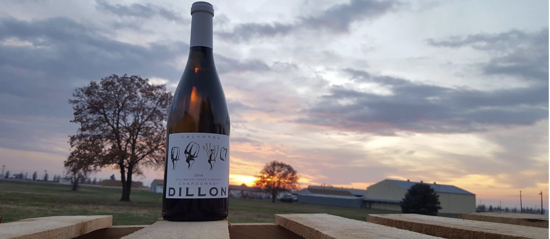 Dillon Cellars Cover Image