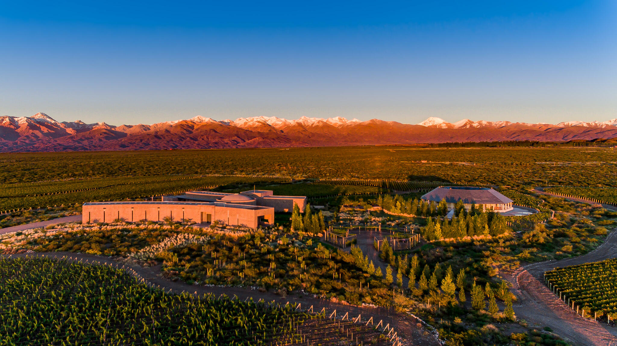 Bemberg Estate Wines Cover Image