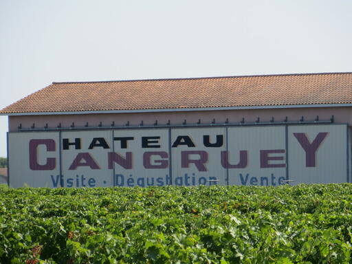 Château Cangruey Image