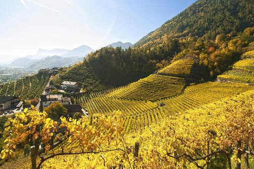Oberstein Image