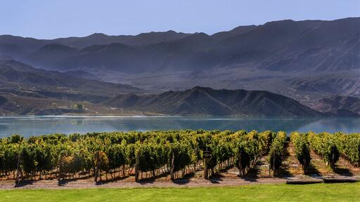 Bodegas Staphyle Image