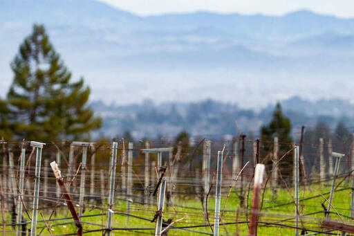 EnRoute Winery Image
