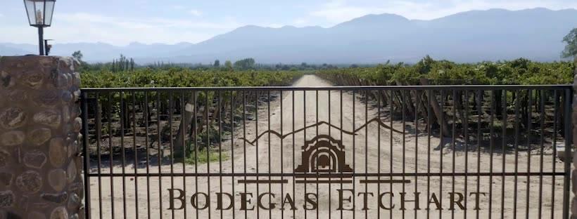 Bodegas Etchart Cover Image