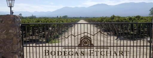 Bodegas Etchart Image