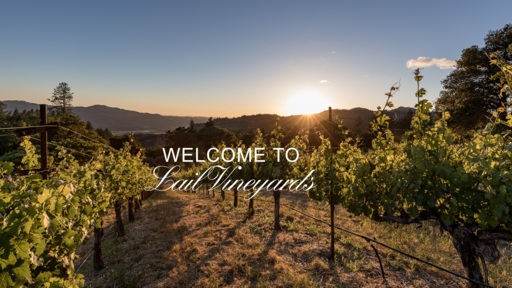 Lail Vineyards Image