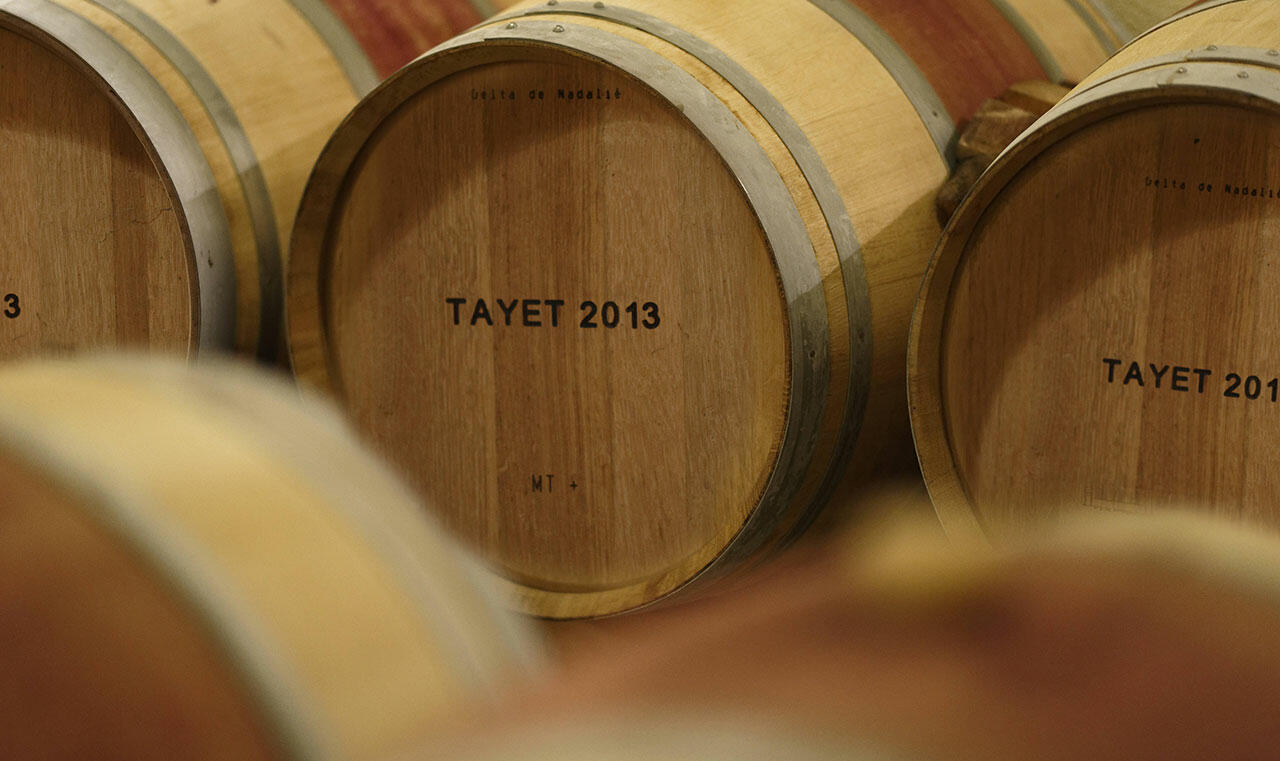 Château Tayet Cover Image