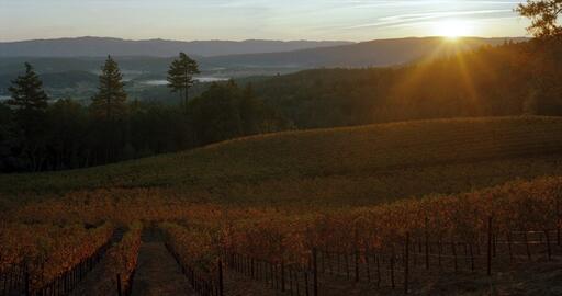 Pestoni Family Estate Winery Image