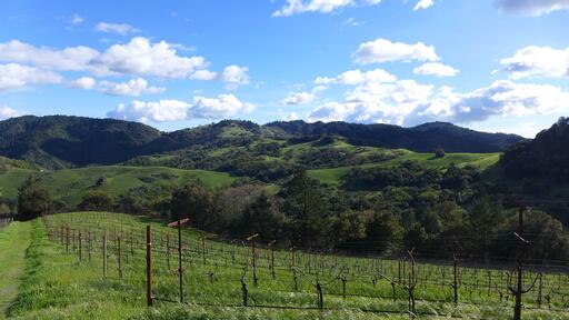 Cain Vineyard & Winery Image