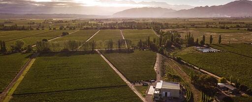 Piccolo Banfi Image