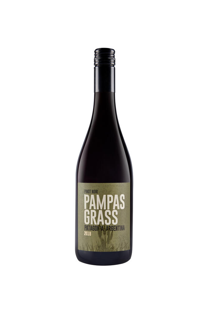 Bodega Familia Schroeder PAMPAS GRASS Pinot Noir Bottle Preview