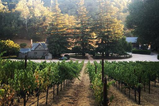 Brown Estate Vineyards Image