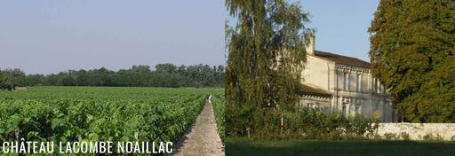 Château Lacombe Noaillac Image