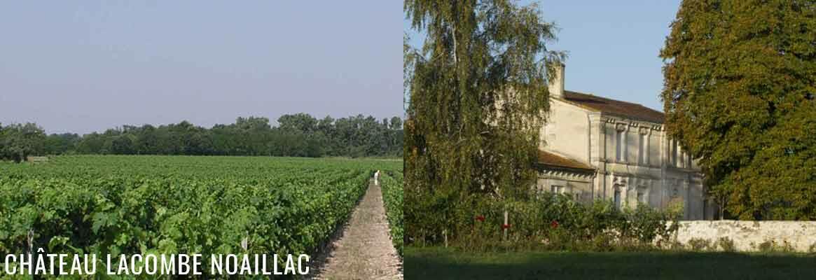 Château Lacombe Noaillac Cover Image