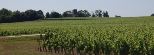 Château Miqueu Image