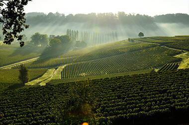 Château La Croizille Image