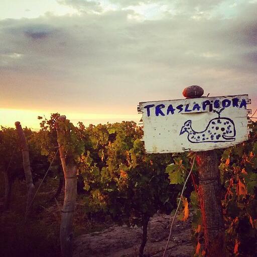 Traslapiedra Image