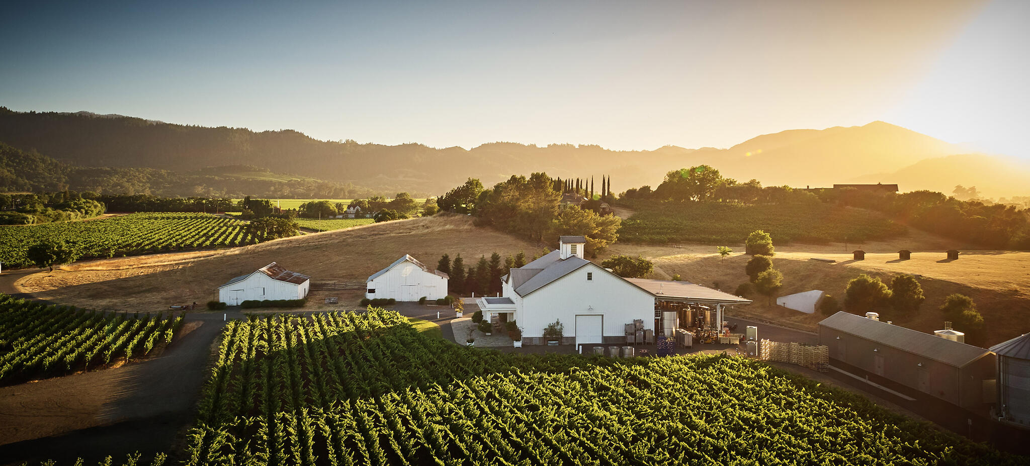 Gamble Family Vineyards Cover Image