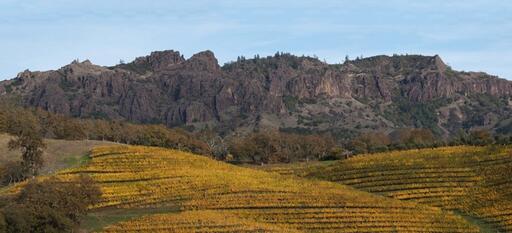 Jericho Canyon Vineyard Image