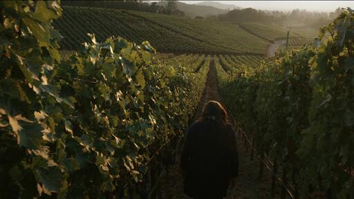 Palmaz Vineyards Image